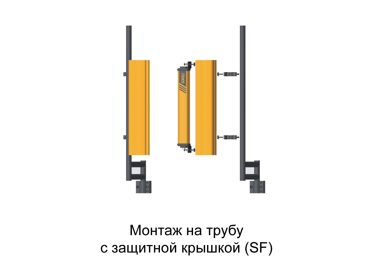 img_20_KS06 (SF).png